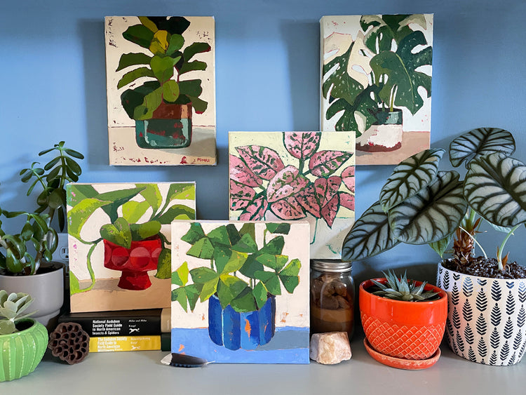 Plant Personalities