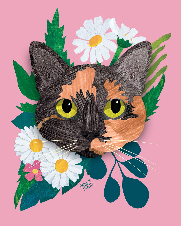 Cat Portraits