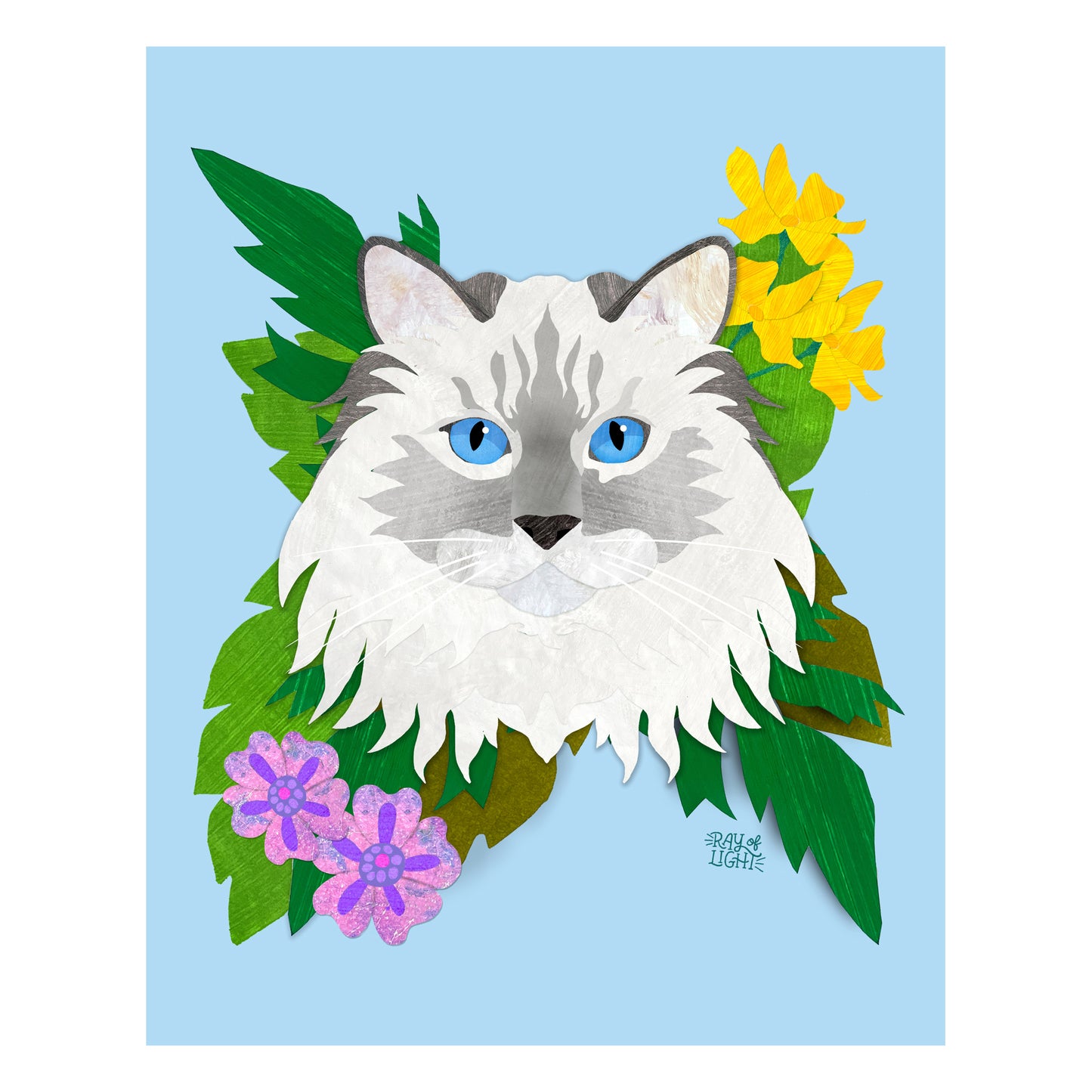 Ragdoll Cat Print