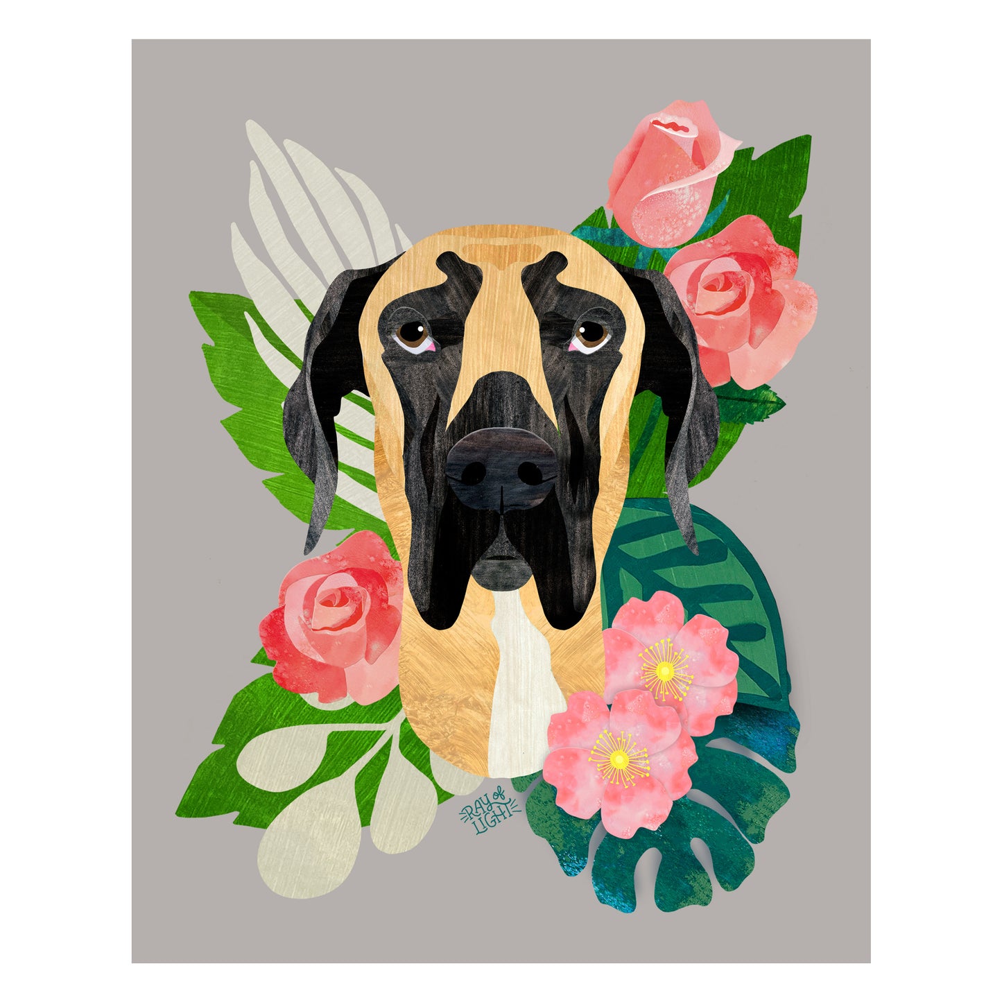 Great Dane Fawn