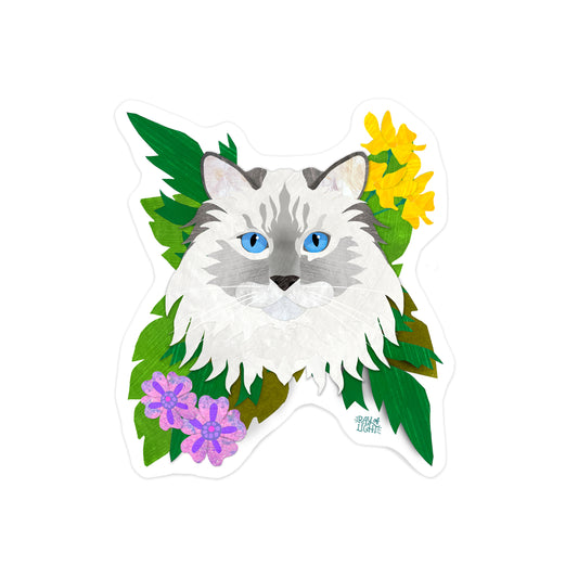 Ragdoll Cat Sticker
