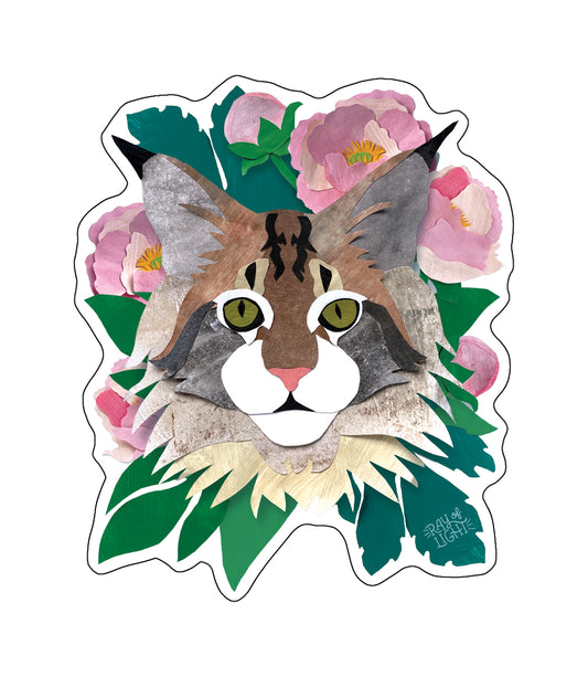 Maine Coon Sticker