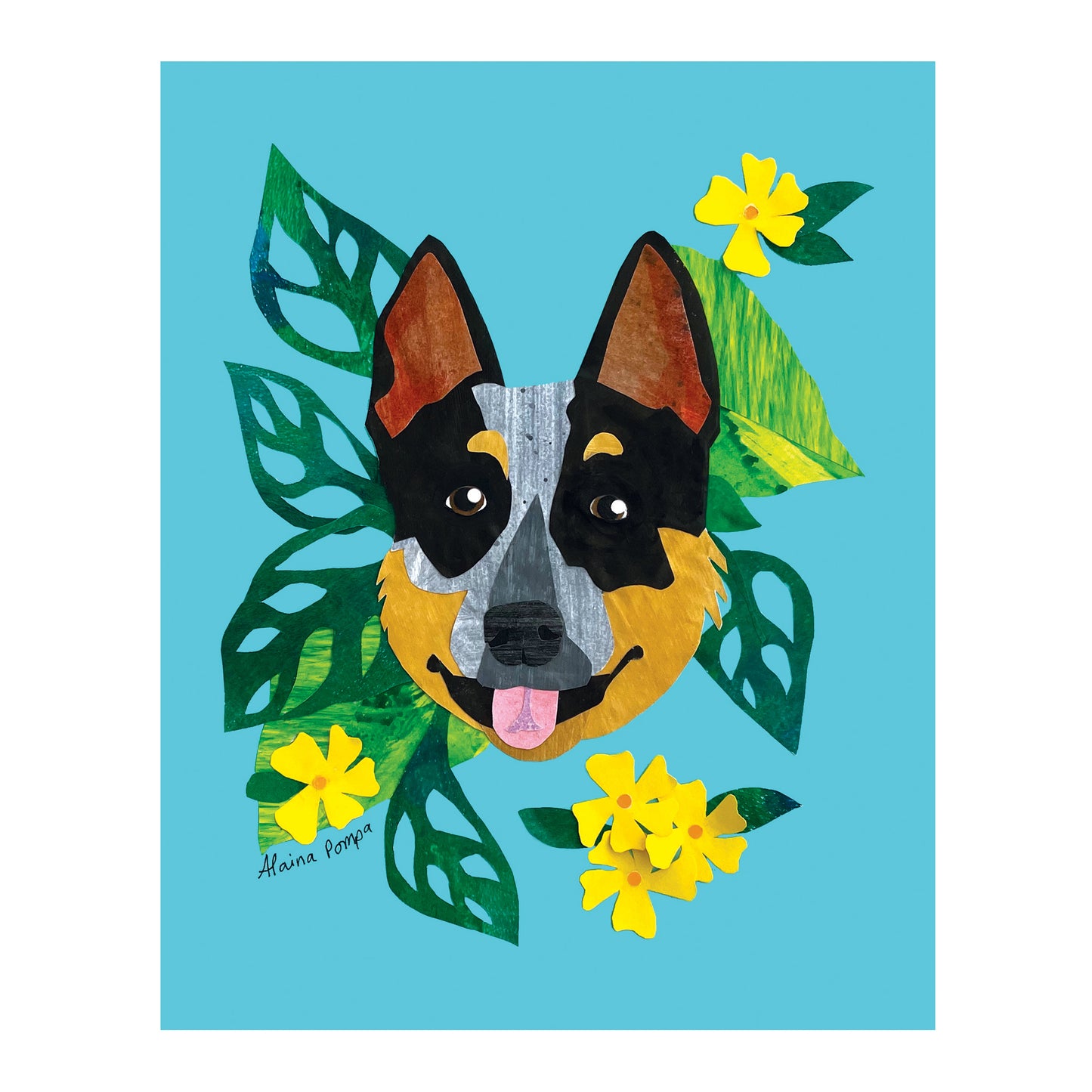 Australian Cattle Dog or Blue Heeler