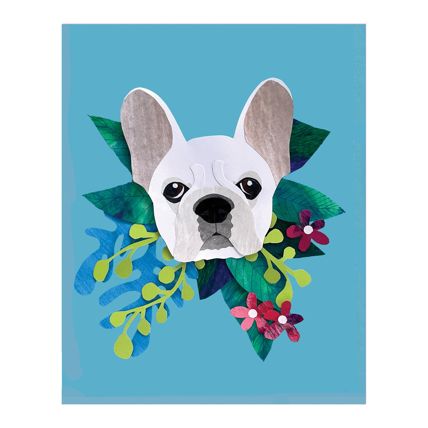 Frenchie French Bull Dog