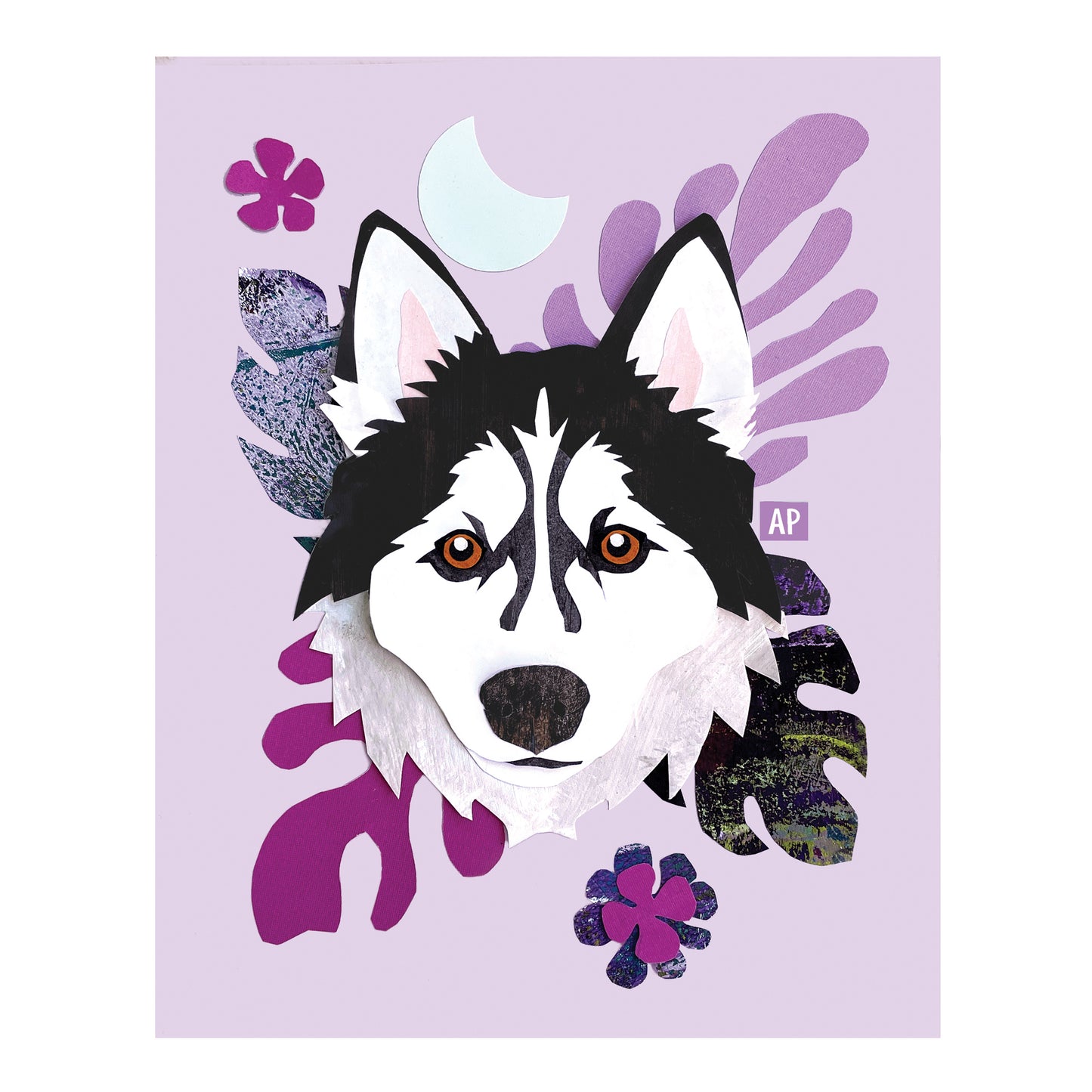 Siberian Husky | Alaskan Malamute