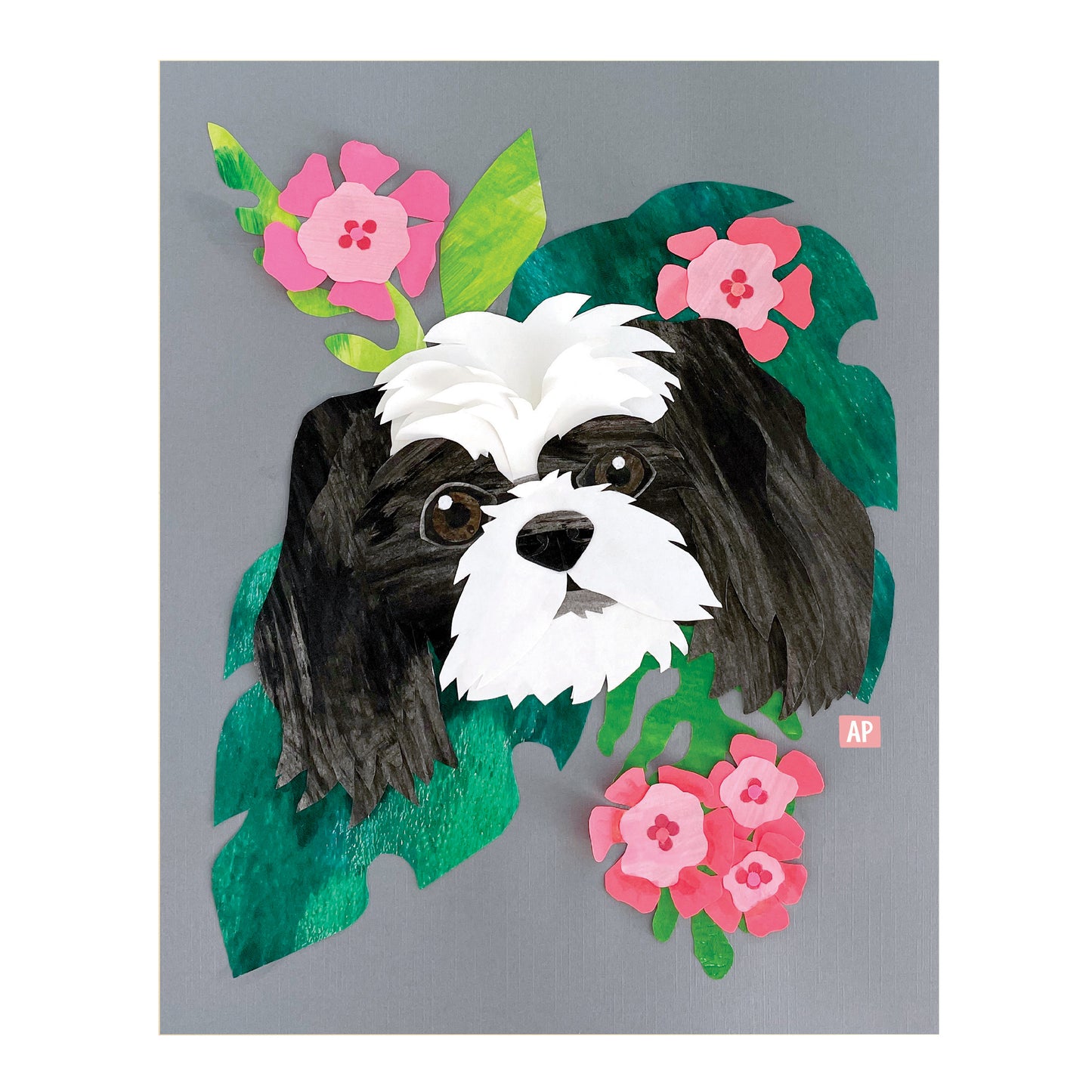 ShihTzu