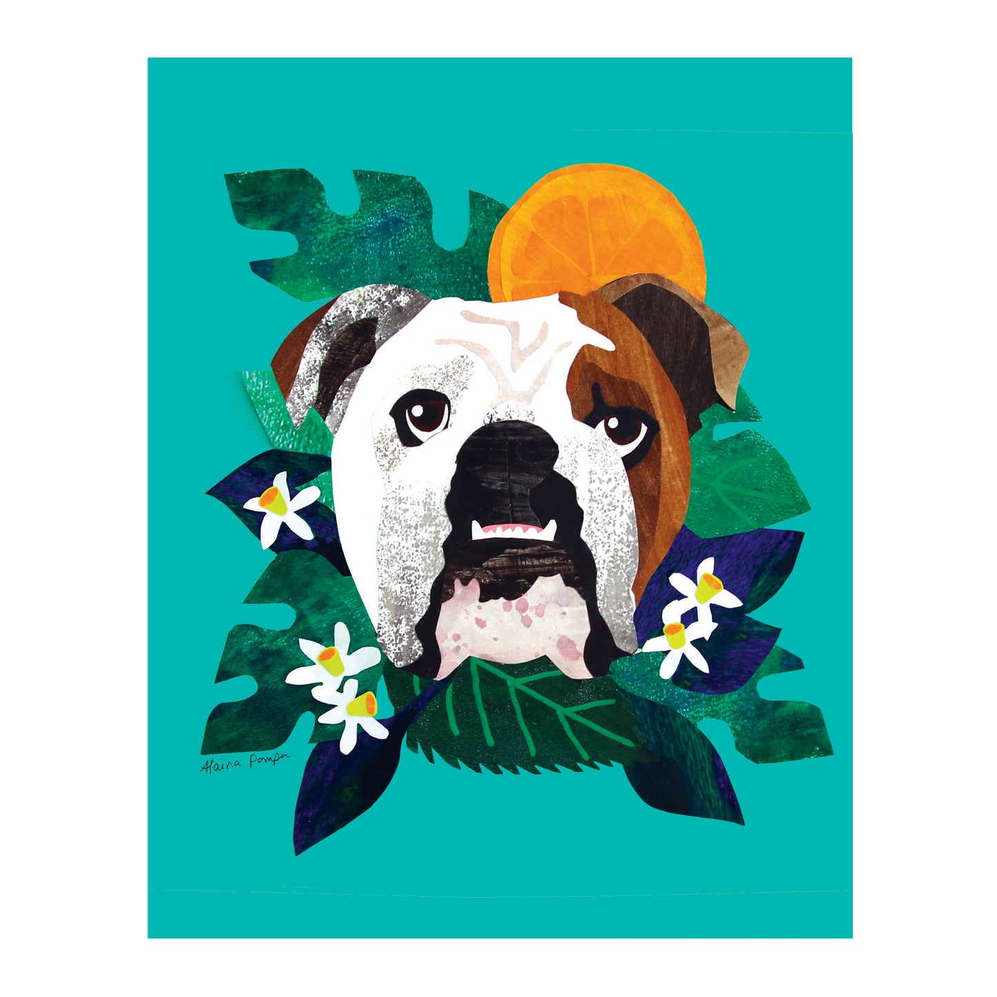 English Bulldog