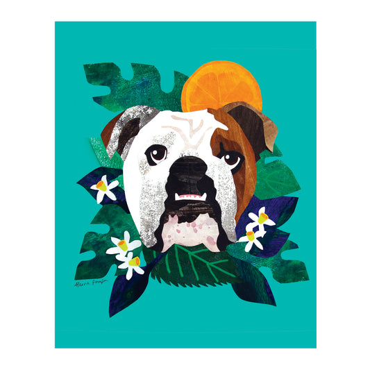 English Bulldog