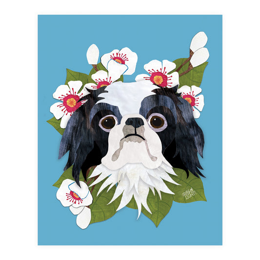 Japanese Chin