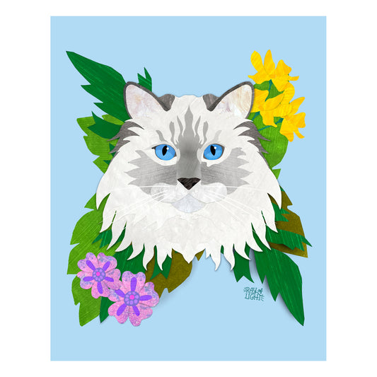 Ragdoll Cat Print