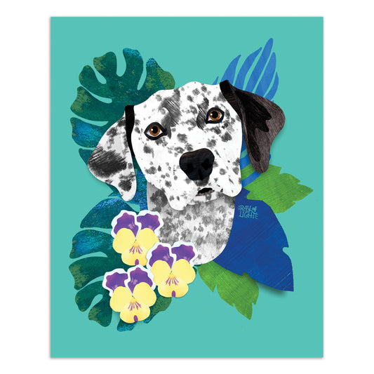 Dalmatian
