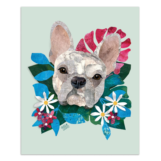 Frenchie French Bull Dog Brindle