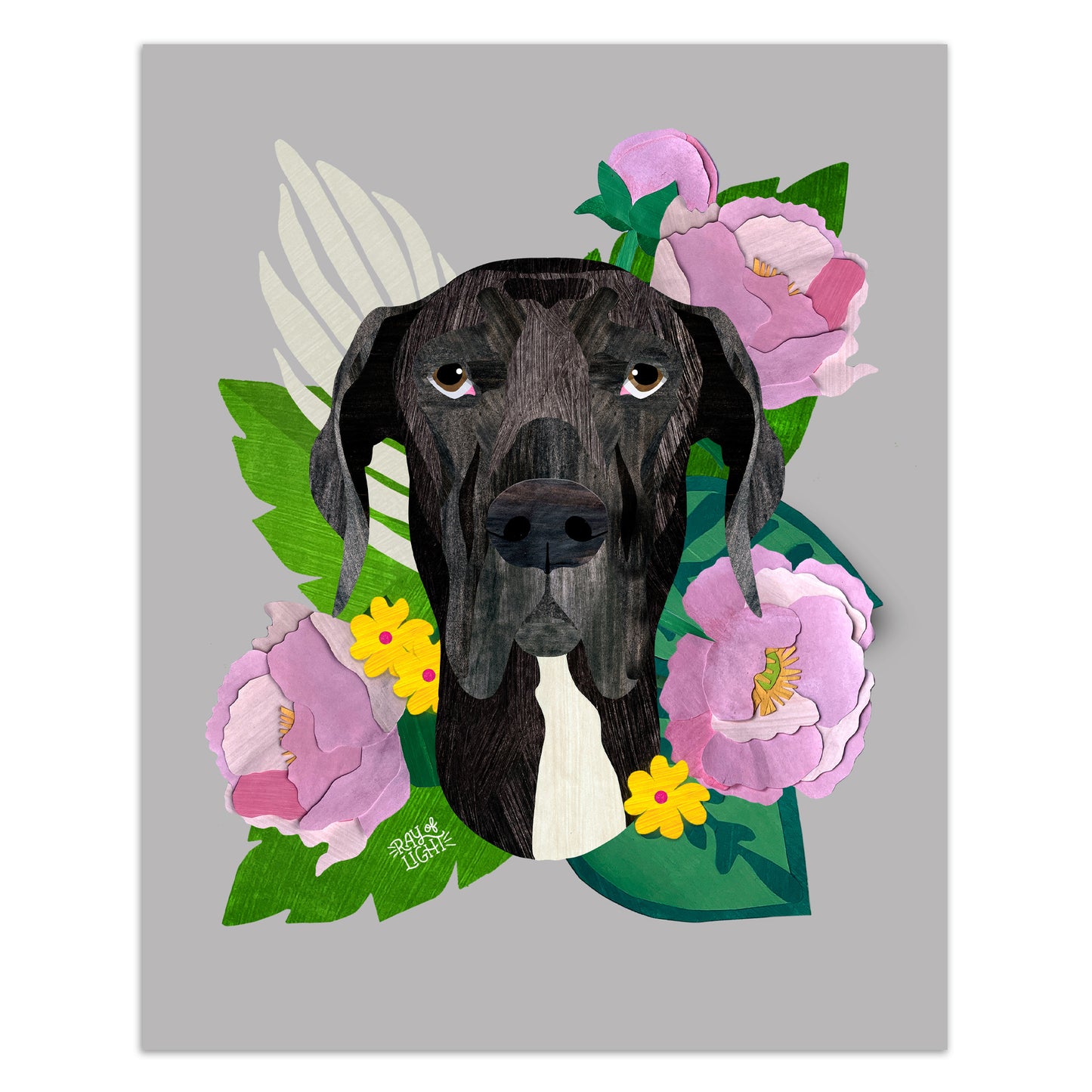 Great Dane Black