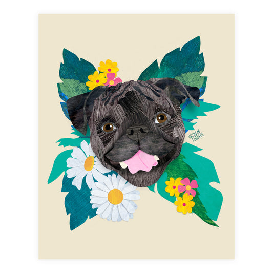 Pug
