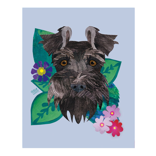 Schnauzer