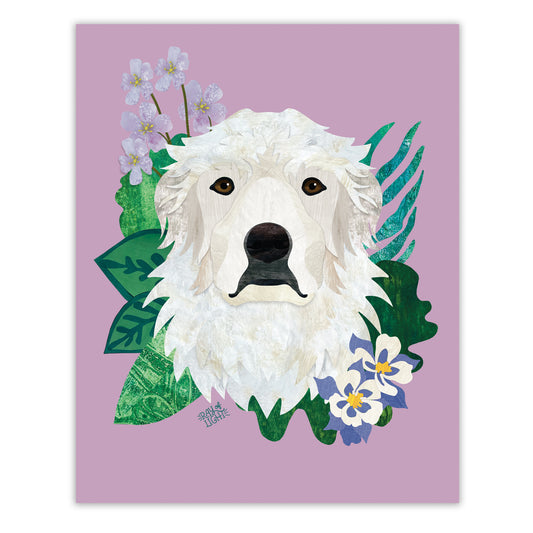 Great Pyreneese