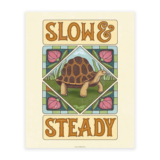 Slow & Steady
