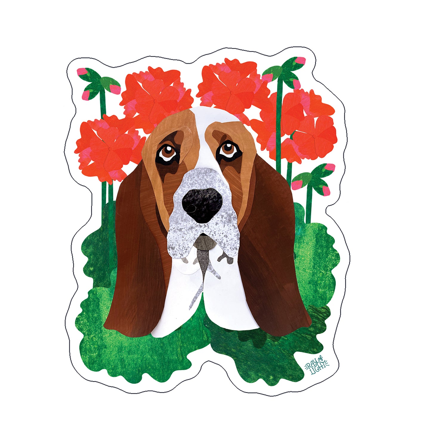 Basset Hound Sticker