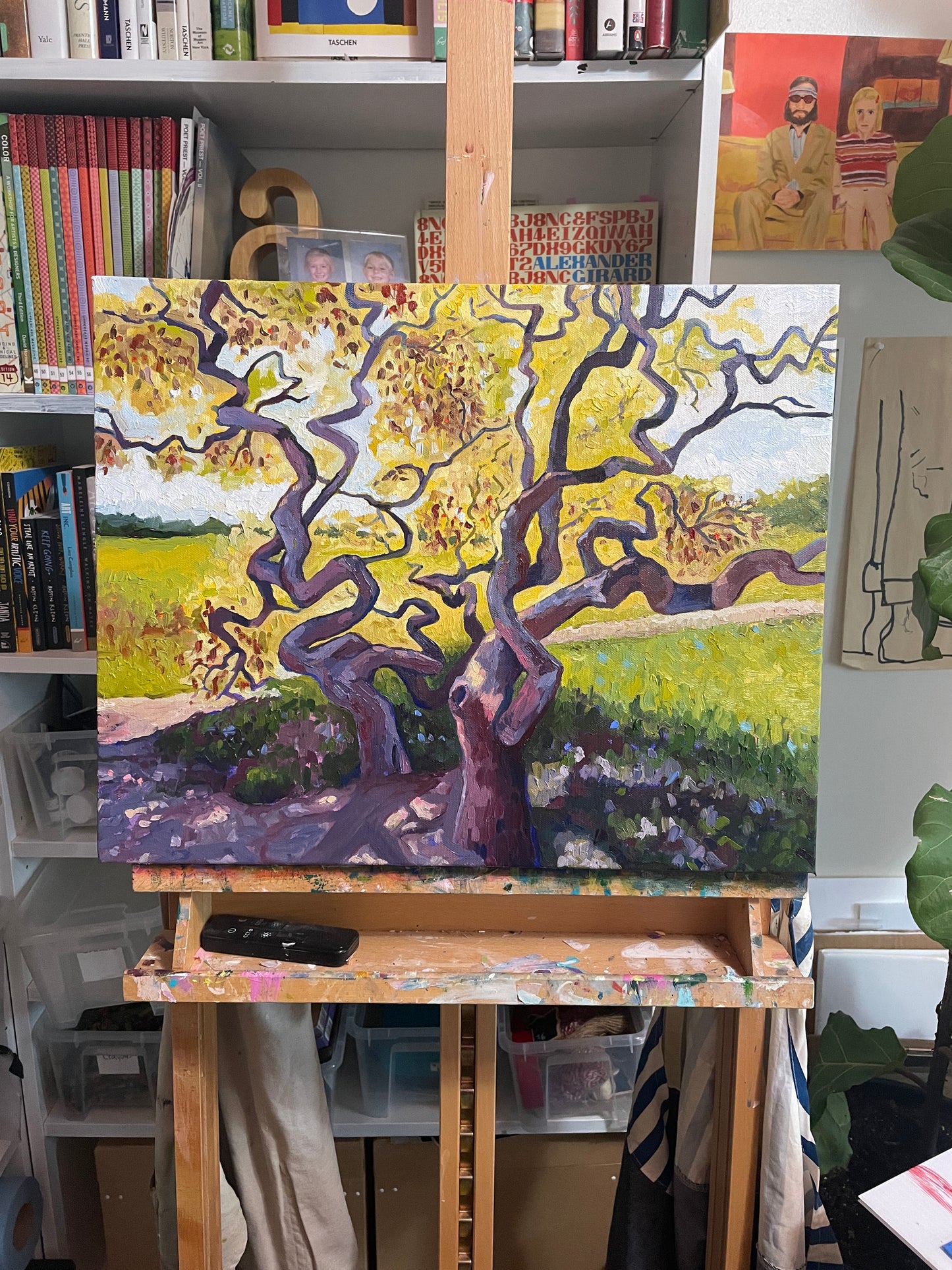 Golden Japanese Maples