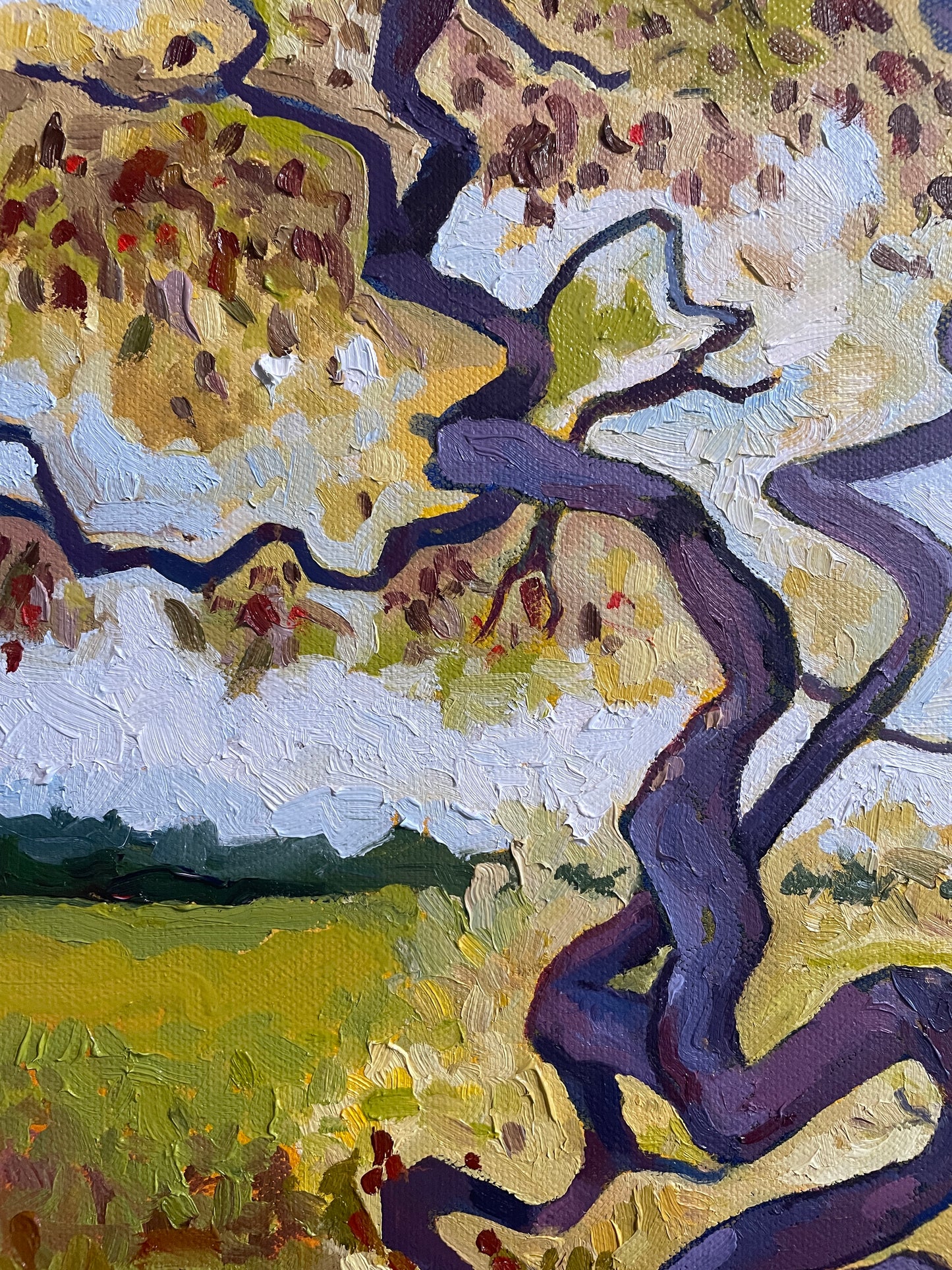 Golden Japanese Maples