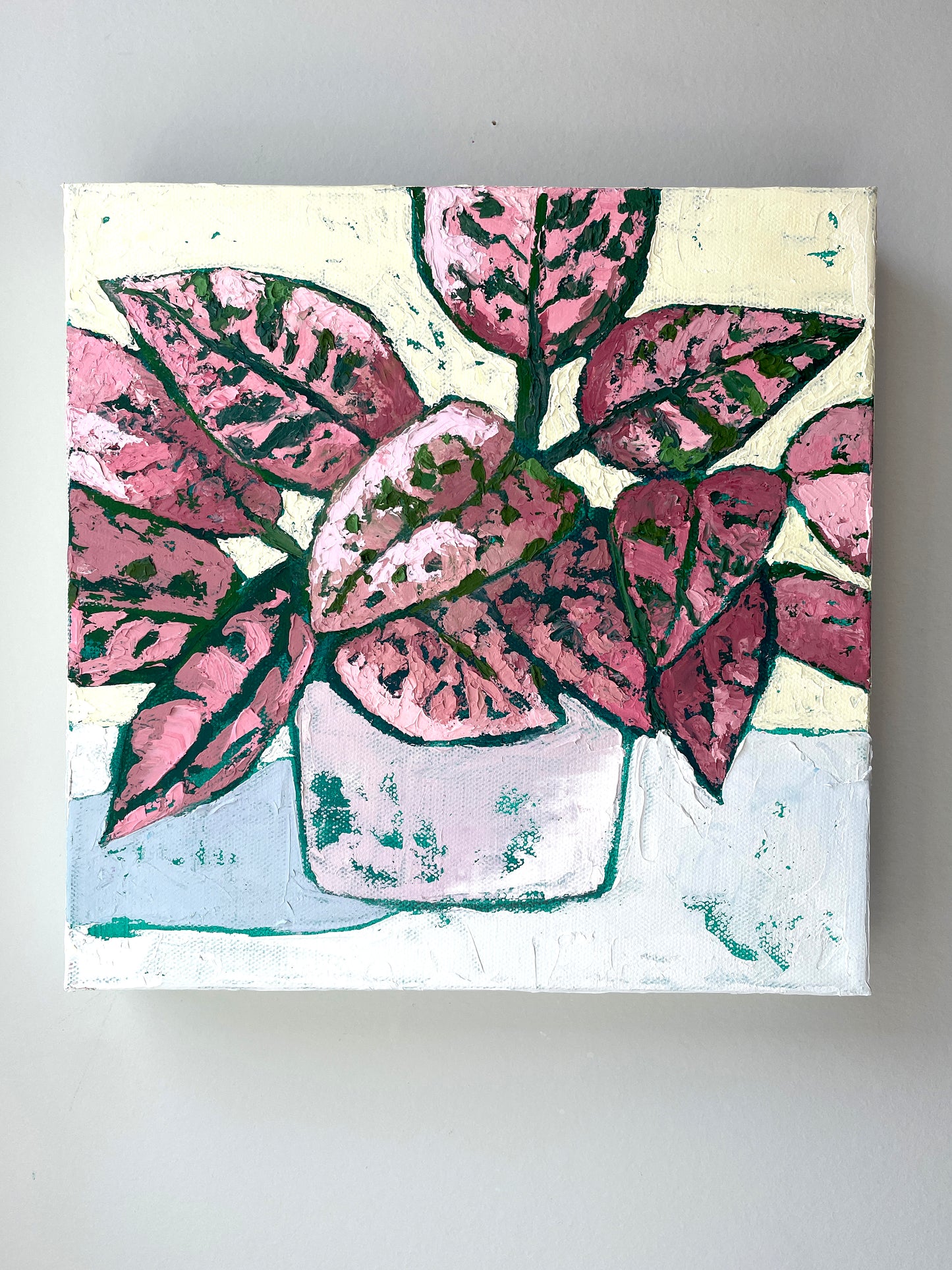 The Dazzler – Pink Polka Dot Plant Original Oil Painting