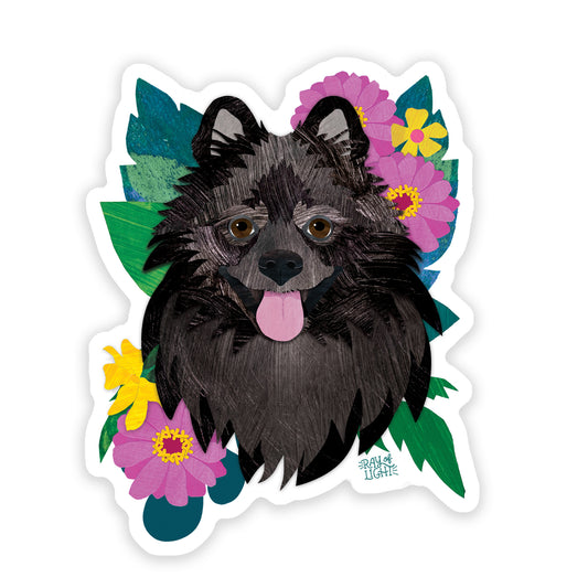 Pomeranian Black Sticker