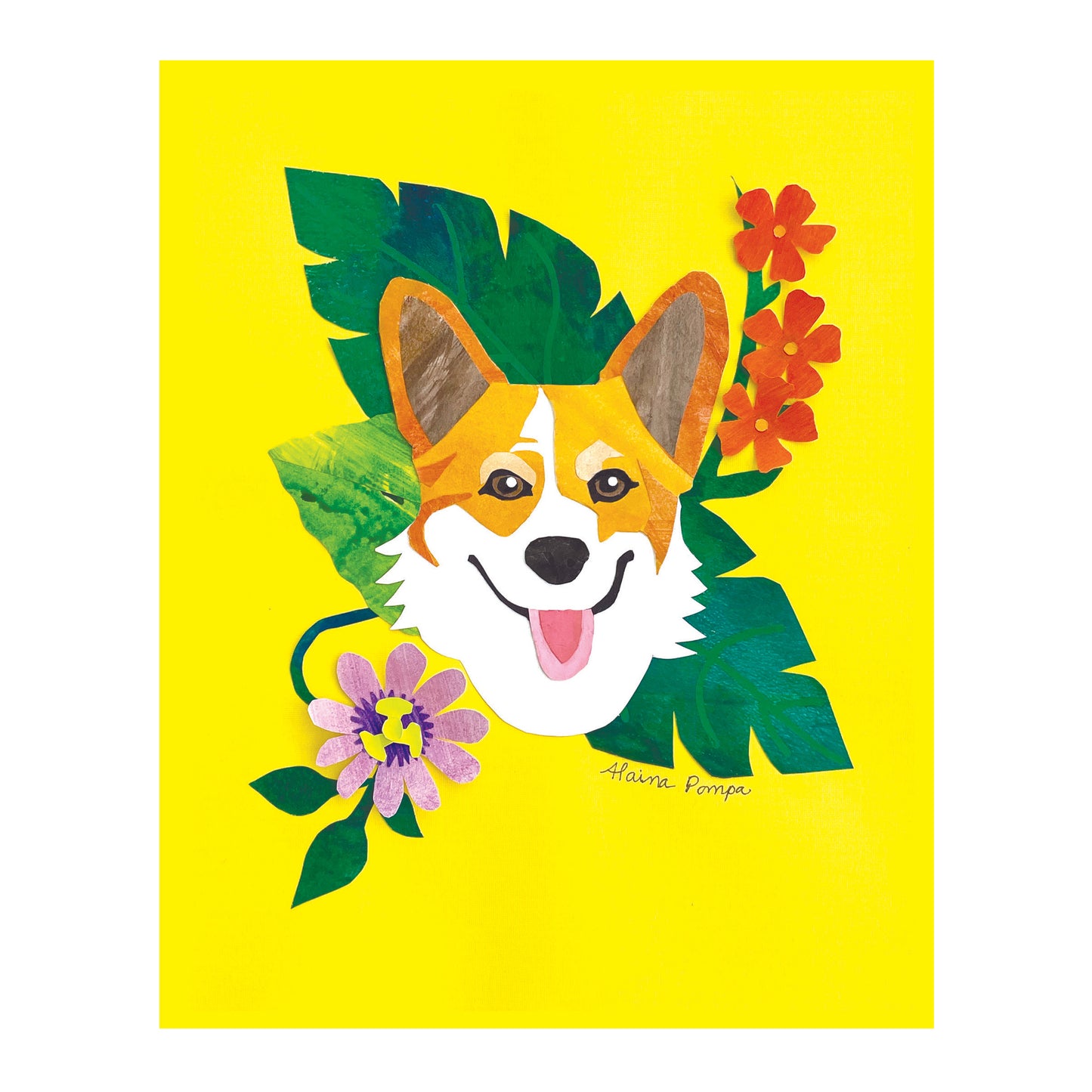 Corgi