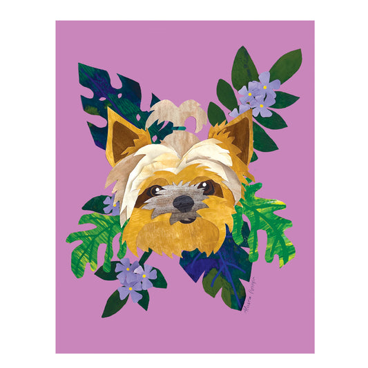 Yorkshire Terrier